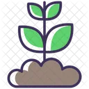 Sprout Icon