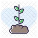 Sprout Icon