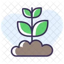 Sprout Icon