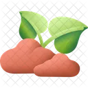 Sprout Plant Nature Icon