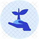 Sprout Streamline Kameleon Icon