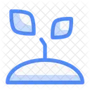 Sprout Plant Nature Icon