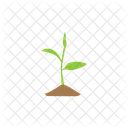 Sprout Plant Nature Icon