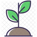 Sprout Icon
