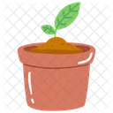 Spring Spring Nature Icon