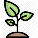Sprout  Icon