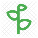 Sprout Icon