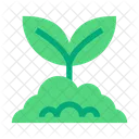 Shoots Tree Vegetable Icon