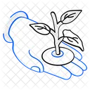 Sprout  Icon