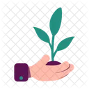 Nature Plant Growth Icon