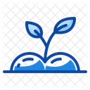 Sprout Icon