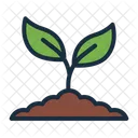 Sprout Plant Leaves Icon