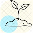 Sprout In Soil Icon