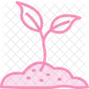 Sprout In Soil Sprout Soil Icon