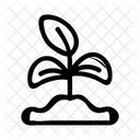 Sprout Leaf  Icon