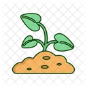 Sprout Plant Plant Ecology Icon