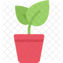 Sprout Pot Pack Symbol Icon