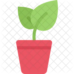 Sprout Pot  Icon
