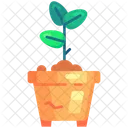 Sprout pot  Icon