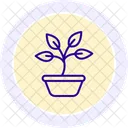 Sprouting Basil Sprouting Basil Icon