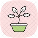 Sprouting Basil Icon