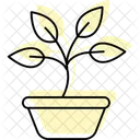 Sprouting Basil Sprouting Basil Icon