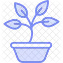 Sprouting Basil Sprouting Basil Icon