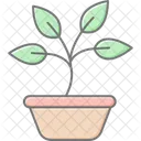 Sprouting Basil Sprouting Basil Icon