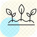 芽生えた植物 アイコン