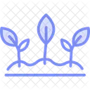 Sprouting Plants Sprouting Plants Icon