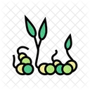 Sprouts Peas Color Icon