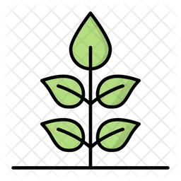 Sprouts  Icon