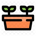 Sprouts Pot  Icon