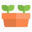 Sprouts pot  Icon