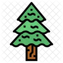 Spruce  Icon