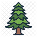 Spruce Pine Tree Icon