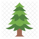 Spruce Pine Tree Icon