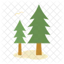 가문비나무 크리스마스 카수아리나 아이콘
