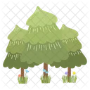 Spruce Tree Forest Icon