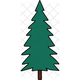 Spruce  Icon