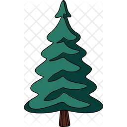 Spruce  Icon