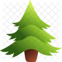 Spruce Tree Christmas Icon