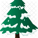 Spruce Tree Winter Icon