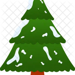 Spruce Tree  Icon
