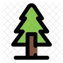 가문비 나무  아이콘