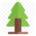 Spruce tree  Icon