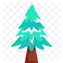 Spruce Tree Winter Icon