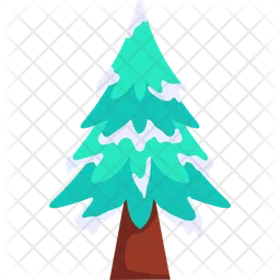 Spruce Tree  Icon