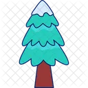 Spruce Tree Winter Icon