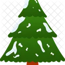 Spruce Tree Winter Icon